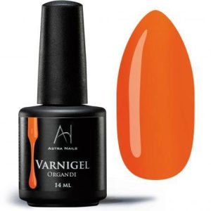 Varnigel Organdi - 14ml